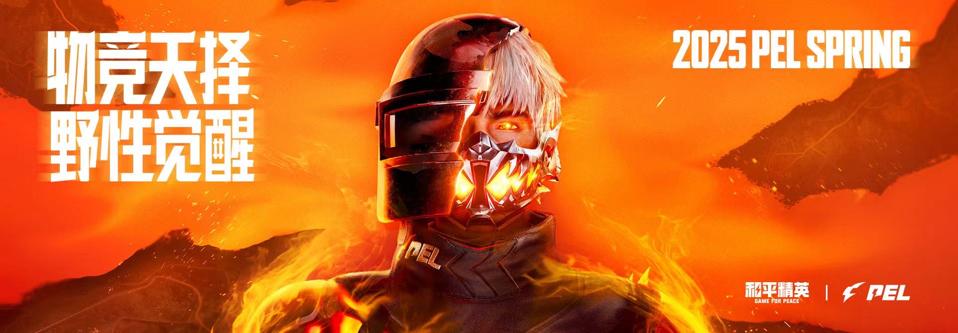 和平精英辅助【ACE闪电容器直装】人物透视 射线方框 锁死自瞄 子弹追踪 物资显示 雷达预警 人物绘制 手持武器